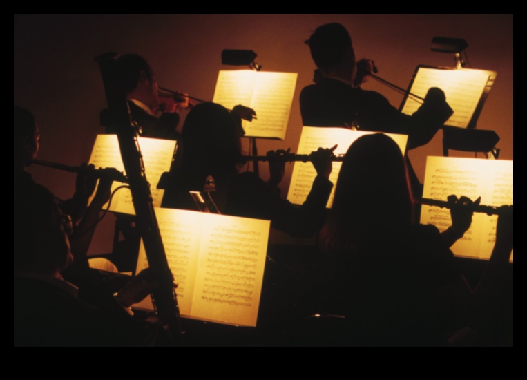 סימפוניית הרכב: האינטראקציה ההרמונית של רכיבים