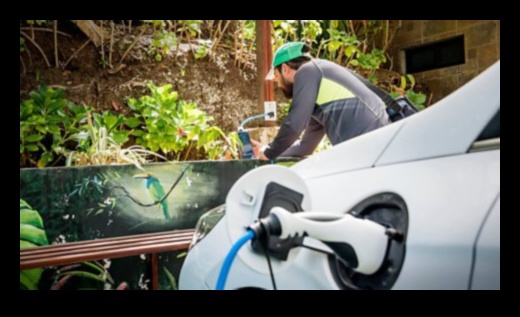 בריחה ידידותית לסביבה: מכוניות חשמליות כשומרות של נסיעות בר קיימא