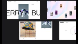 חדשנים דיגיטליים: חלוצים בתקשורת חזותית מקוונת