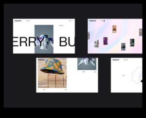 חדשנים דיגיטליים: חלוצים בתקשורת חזותית מקוונת