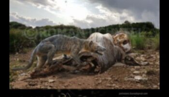 מורשת לב אריה: מתאר פאונה פרהיסטורית באמנות