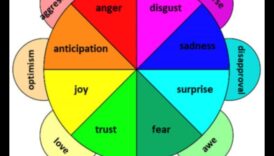 עיצוב לעומק: הפסיכולוגיה של ביטוי יצירתי בתלת מימד